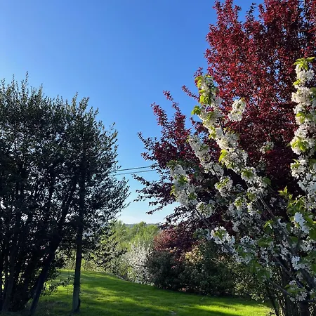 Tosa Welcome Nyaraló *