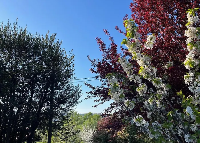 Tosa Welcome Semesterbostad *